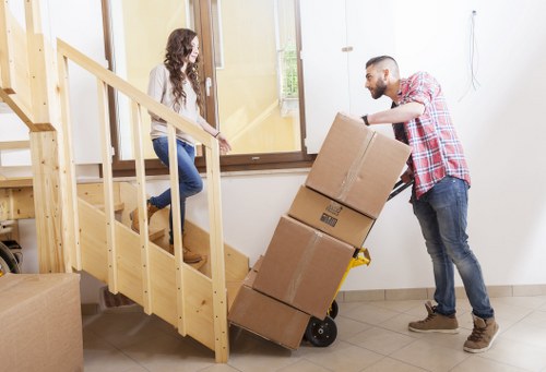 Different box sizes for packing and storage needs